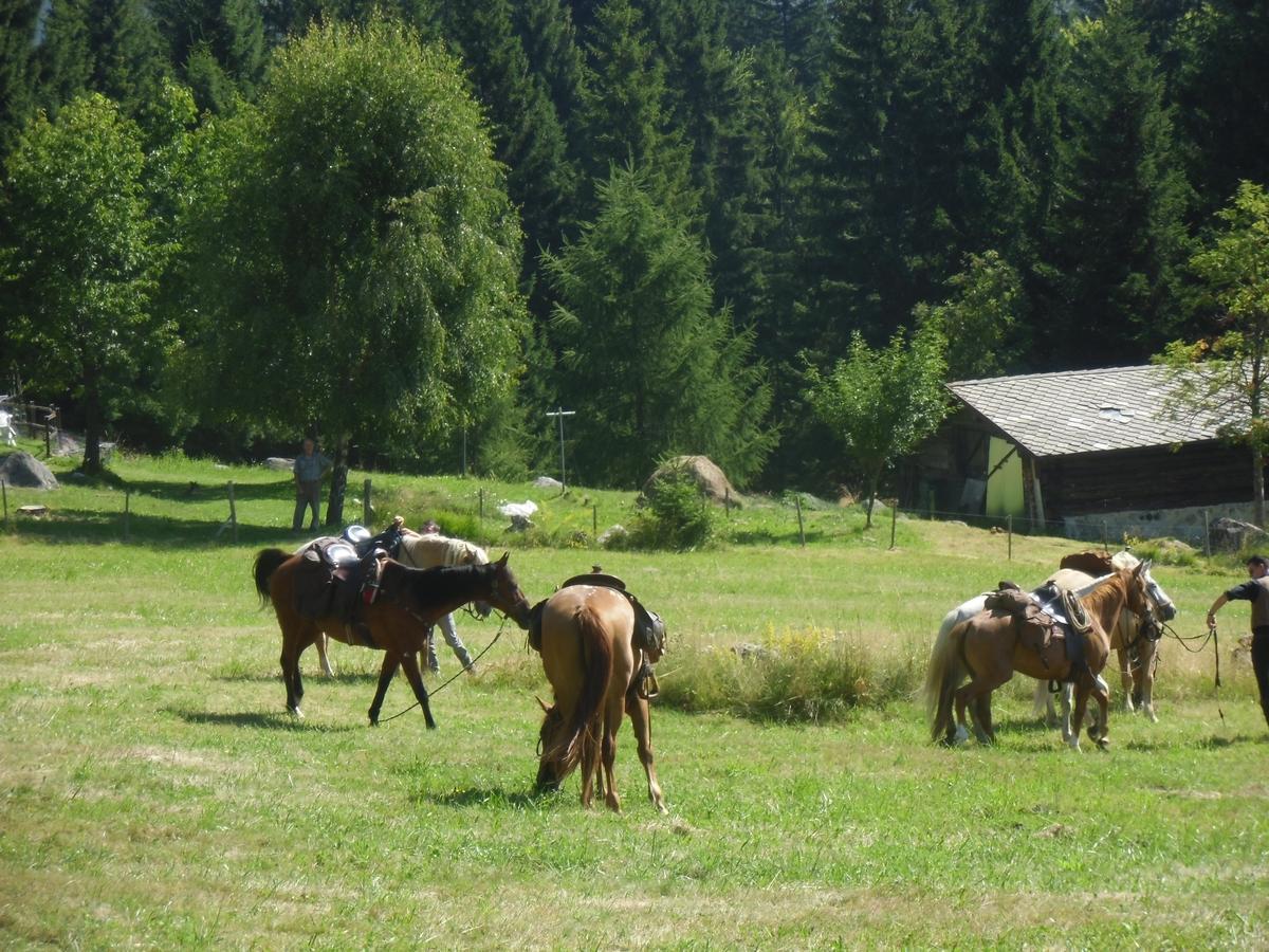 Locanda La Ruscoletta Telve Zewnętrze zdjęcie